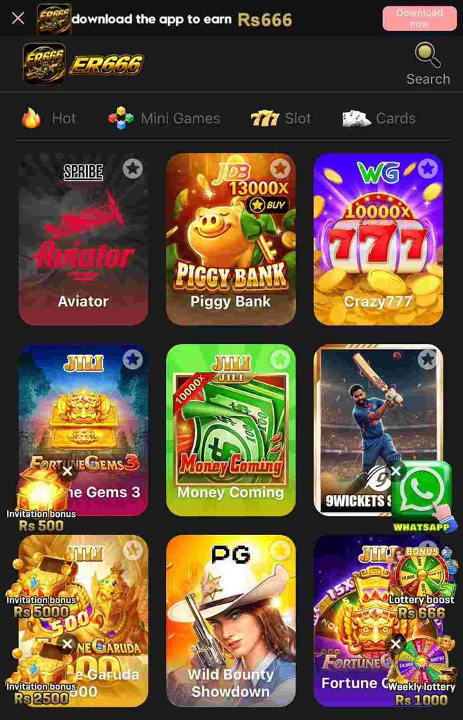 ER666 Game